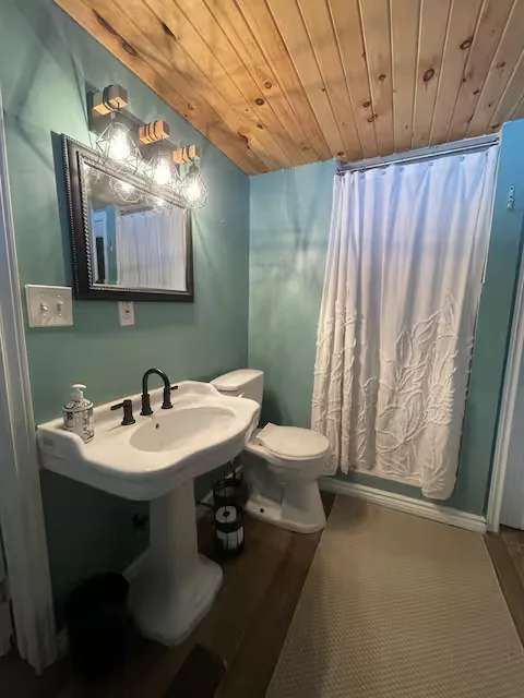 Bathroom with teal walls and wood ceiling