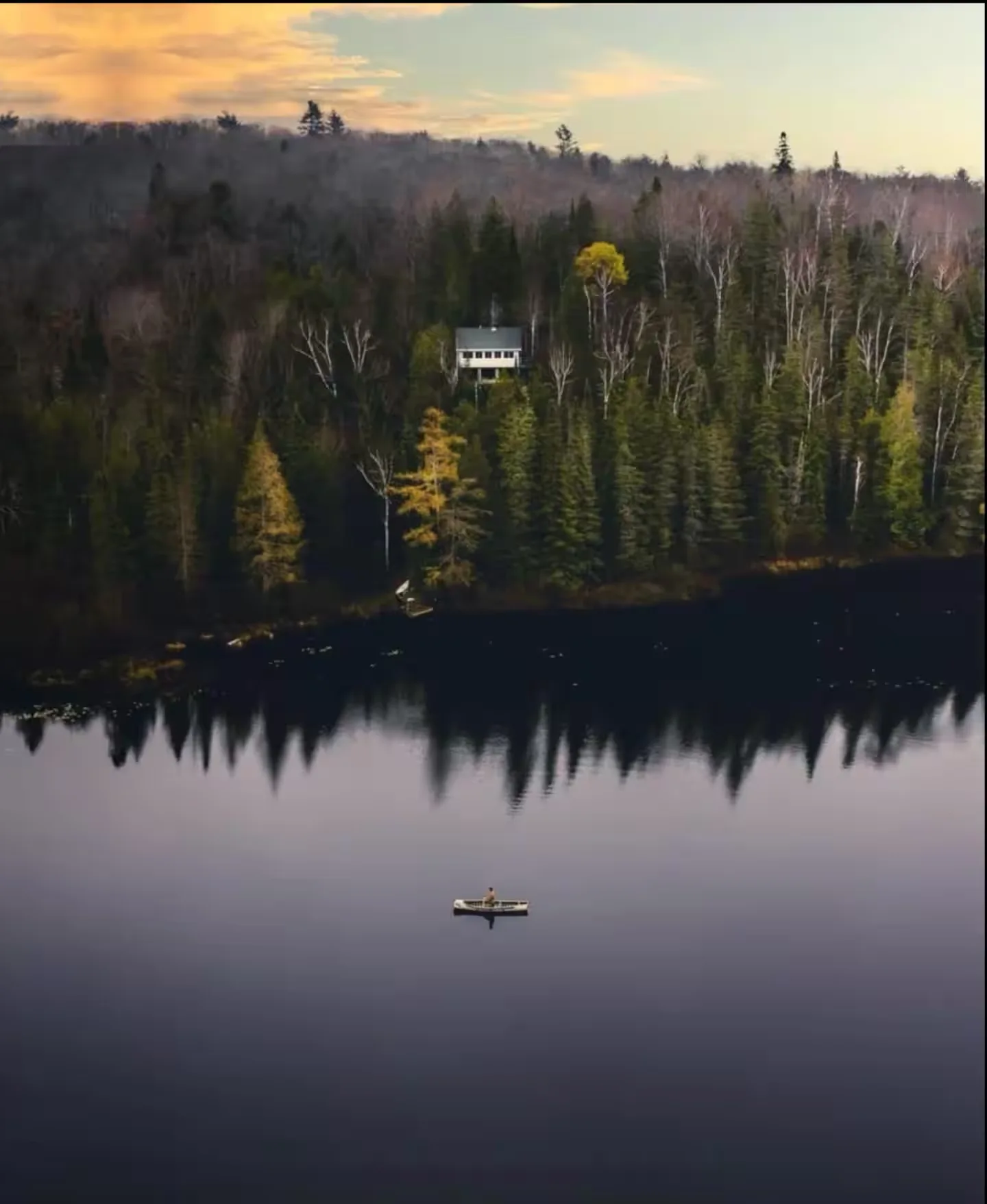 The Off Grid Cabin