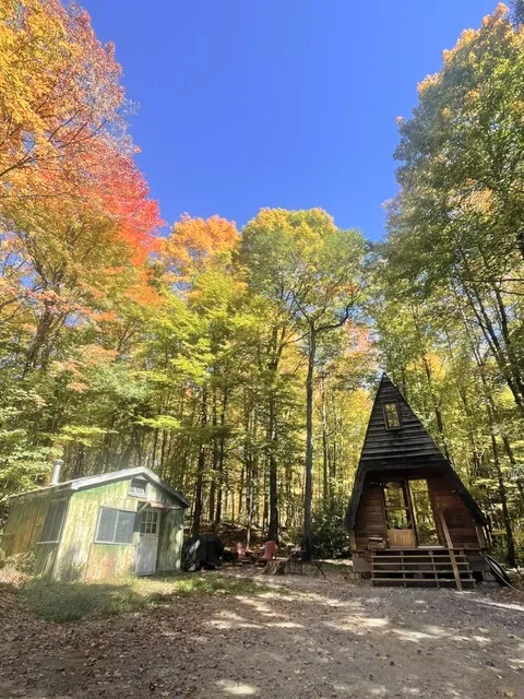 The A-Frame Cabin and green outbuilding surrounded by autumn trees